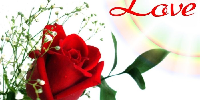 1600x1200 18 Elegant Red Rose Heart Love Flower Box Wallpaper - Popular Photos