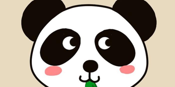 1080x1920 Kawaii Panda Wallpapers