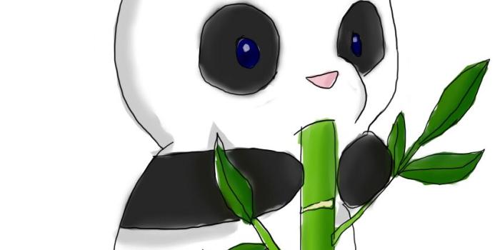853x1228 Kawaii Panda Wallpapers