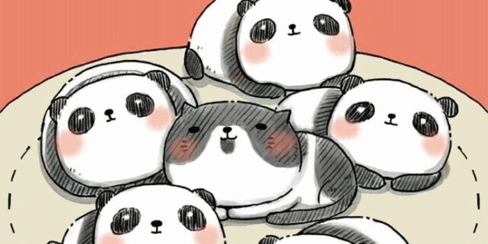 750x1334 Kawaii Panda Wallpapers - Top Free Kawaii Panda Backgrounds