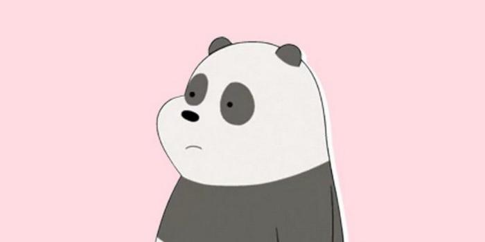 1080x1920 Panda Cartoon Wallpaper (73+ pictures)