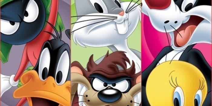 1024x768 Looney Tunes Wallpapers - Top Free Looney Tunes Backgrounds