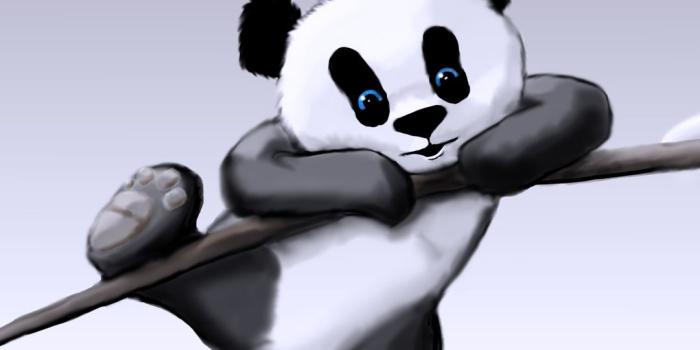 1080x1920 Wallpaper. | Panda Bears I love | Panda wallpapers, Cute panda