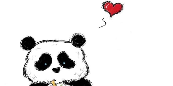 900x1153 Wallpaper of panda Gallery