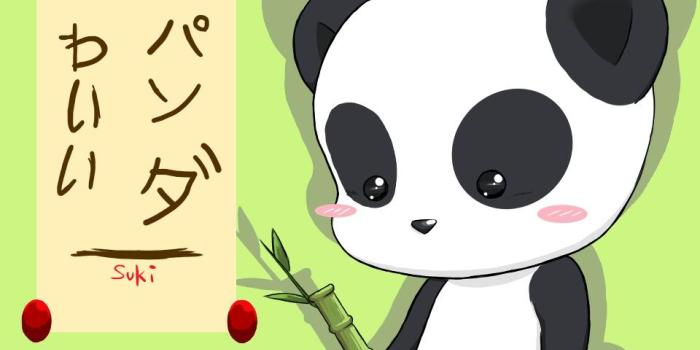 960x860 Kawaii Panda Wallpapers