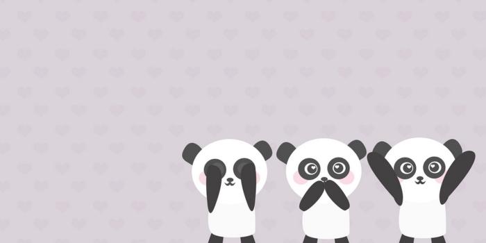 1920x1080 74+ Anime Panda Wallpapers on WallpaperPlay