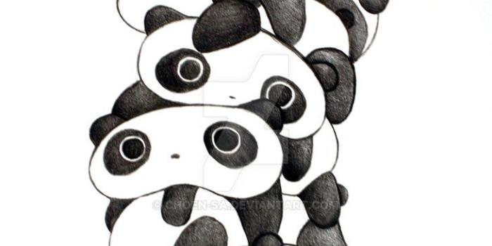 730x1095 Kawaii Panda Wallpaper (94+ images in Collection) Page 1