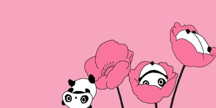 1024x768 Kawaii Panda Wallpapers