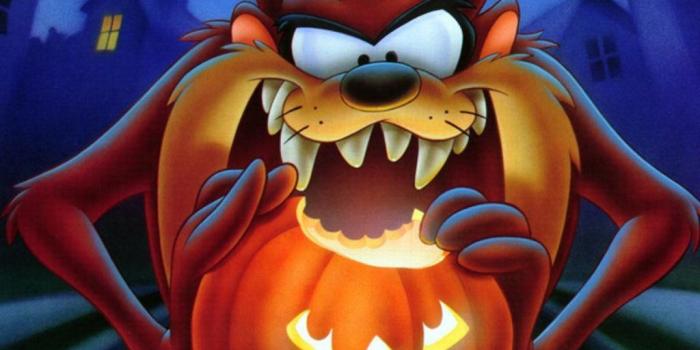 1024x768 Looney tunes wall paper Gallery