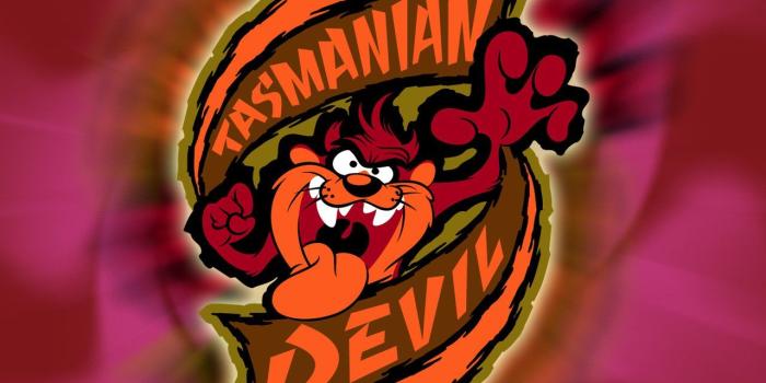 1280x1024 14 Tasmanian Devil (Looney Tunes) HD Wallpapers | Background Images