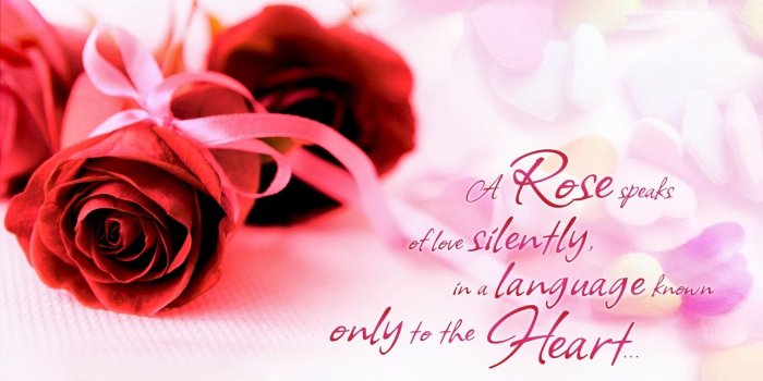 1600x900 Good Morning Images With Red Roses Hd | Roses Gallery