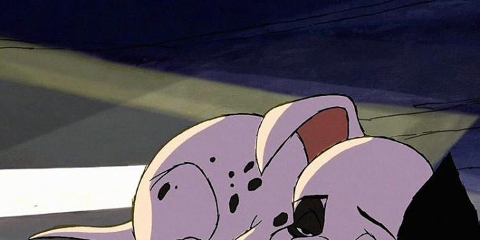 750x1334 iPhone7papers - ac05-wallpaper-dalmatians-disney-dog-animal