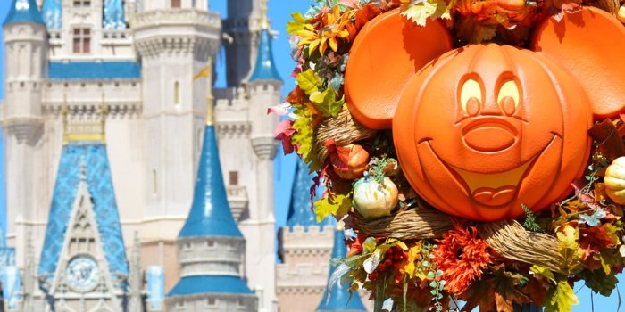 1024x1024 Walt Disney World Resort Wallpaper for Desktop, Laptop and SmartPhones