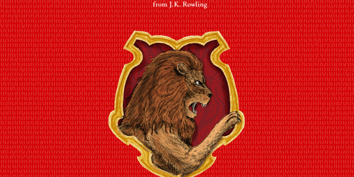1040x1536 Gryffindor Iphone Wallpaper ,free download, (65) - cerc-ug.org