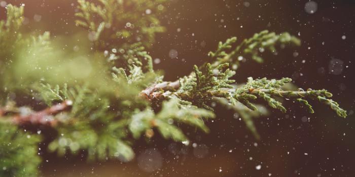 2732x2732 Let It Snow Background ❤ 4K HD Desktop Wallpaper for 4K Ultra HD TV