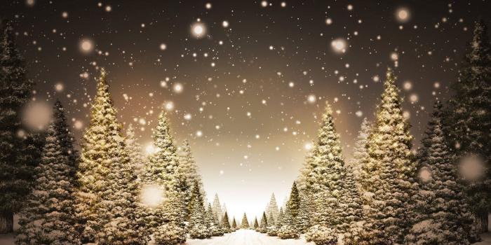 2560x1600 Let It Snow widescreen wallpaper