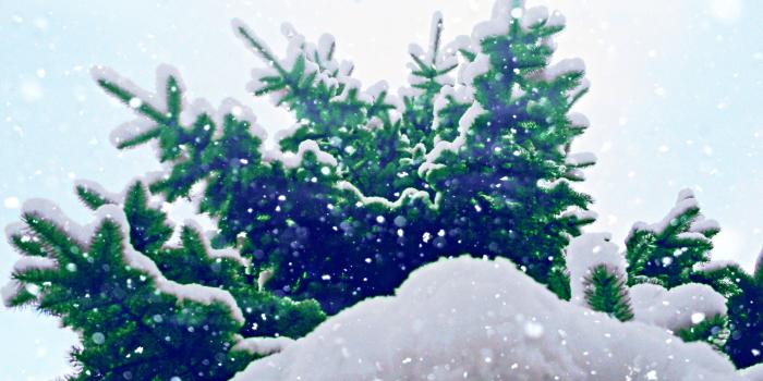 2560x1600 Let it Snow ❤ 4K HD Desktop Wallpaper for 4K Ultra HD TV • Tablet