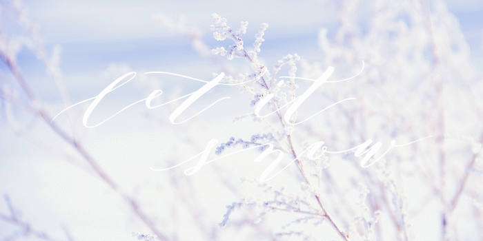 1920x1200 Wallpaper-Let It Snow-1920×1200