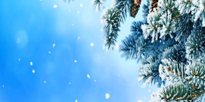 1440x1280 Let it Snow Wallpaper by _Savanna_ - 65 - Free on ZEDGE™