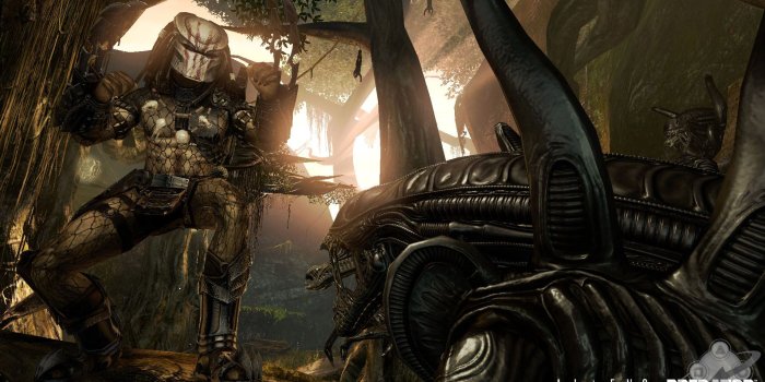 1920x1080 Aliens Vs. Predator Wallpapers, Pictures, Images