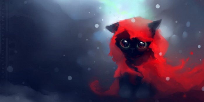 1680x1050 Red Riding Hood Cat ❤ 4K HD Desktop Wallpaper for 4K Ultra HD TV