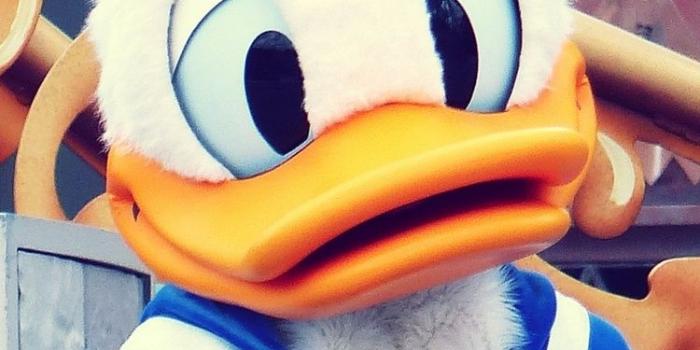 750x1334 48+] Disney iPhone Wallpaper on WallpaperSafari