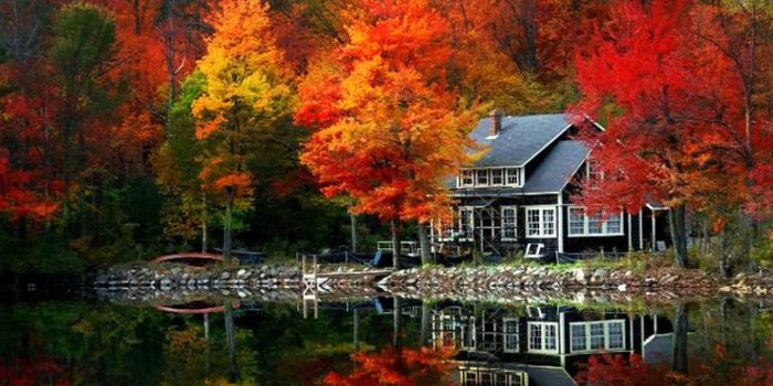 1920x1080 35+ The Most Beautiful Fall Wallpapers - Download at WallpaperBro