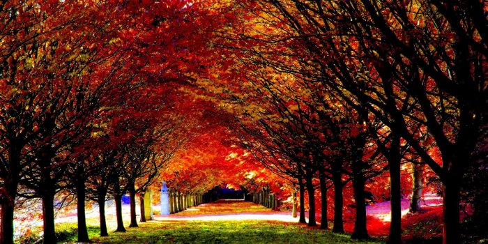 1920x1200 30 Most Beautiful Autumn Wallpapers HD - MixHD wallpapers | Roads