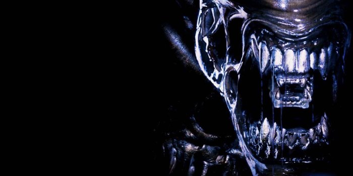 1920x1080 Alien Vs. Predator Wallpapers
