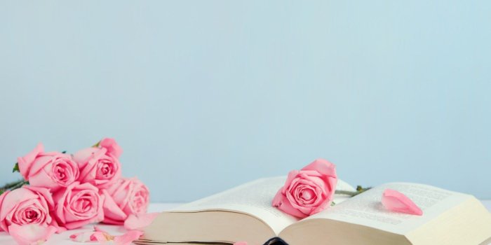 1332x850 Wallpaper flowers, roses, petals, book, pink, buds, pink, flowers