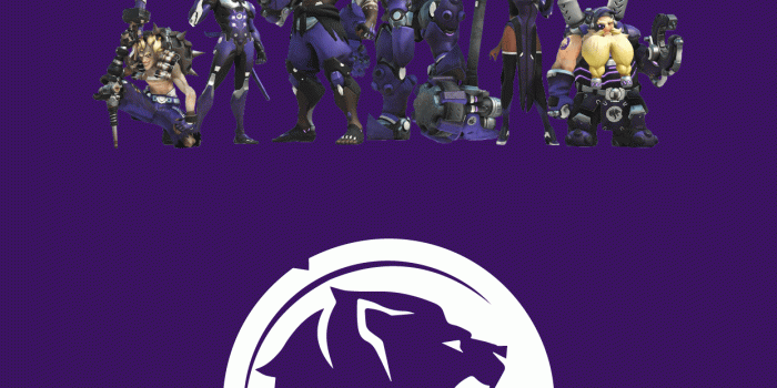 1242x2208 Overwatch League Los Angeles Gladiators Wallpapers - Album on Imgur