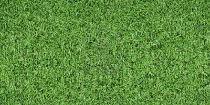 1200x798 HD Widescreen Backgrounds Soccer Field