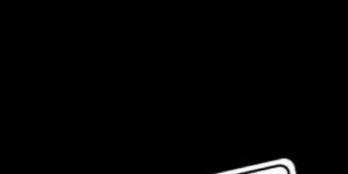 736x1308 67448448 Parte 2 - #Parte #planodefundo | minimaliste in 2019
