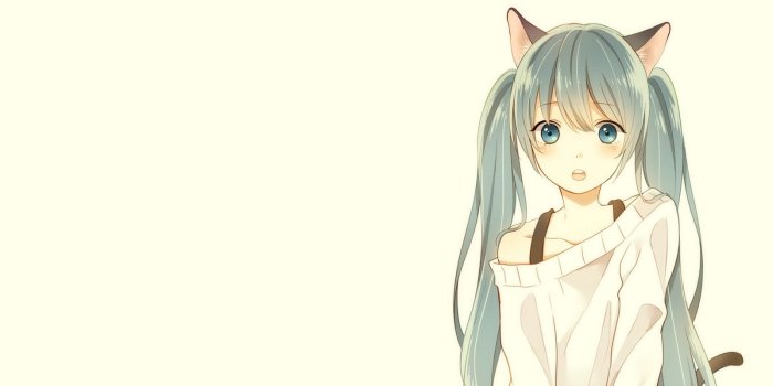 1600x900 Neko Girl Wallpaper | 1600x900 | ID:53821