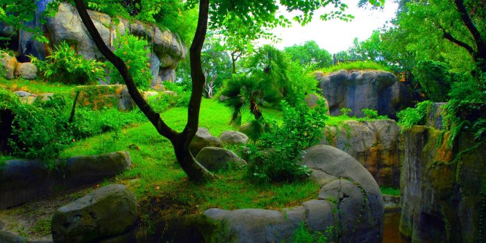 1920x1080 Wallpaper's Collection: «HD Wallpapers 1080p»