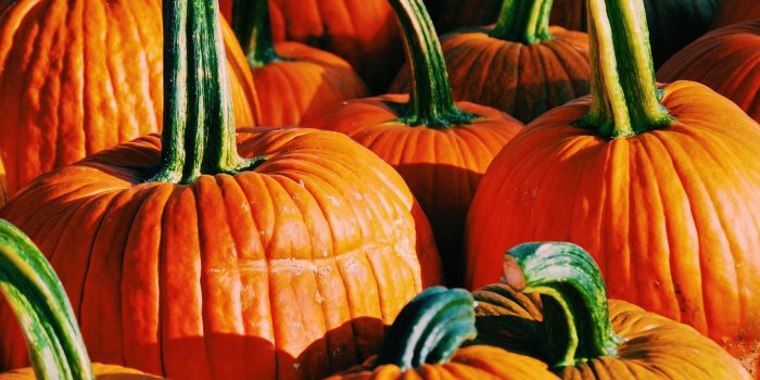 2592x3872 Pumpkin iPhone wallpaper. #fall #wallpaper | Fall | Pumpkin, Iphone