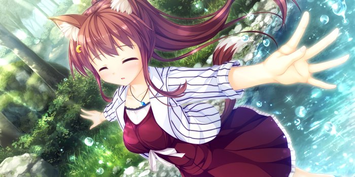 3840x2160 Neko Wallpaper - Anime Girl With Wolf Ears, Hd Wallpapers