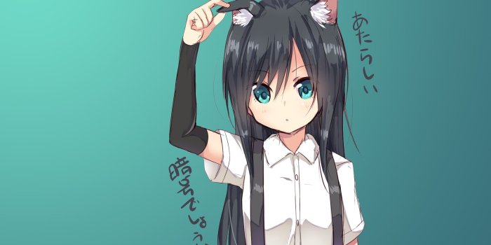 1920x1080 HD wallpaper: anime, anime girls, long hair, Neko Works, animal ears