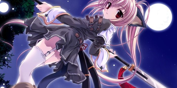 1280x960 neko - anime animal girls Wallpaper (6629606) - Fanpop