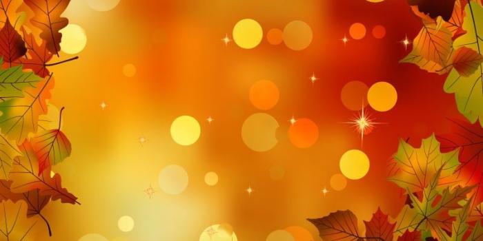 800x1067 Autumn Pumpkin iPhone Wallpapers - Top Free Autumn Pumpkin iPhone