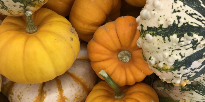 3024x4032 fall #pumpkin #orange #aesthetic #iphonewallpapers | Photo ideas