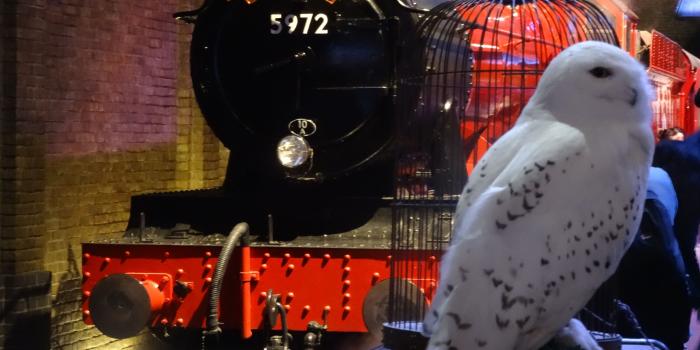 5184x3888 45+] Hogwarts Express Wallpaper on WallpaperSafari