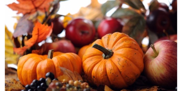 3840x2160 Fall Pumpkin Wallpaper (51+ images)