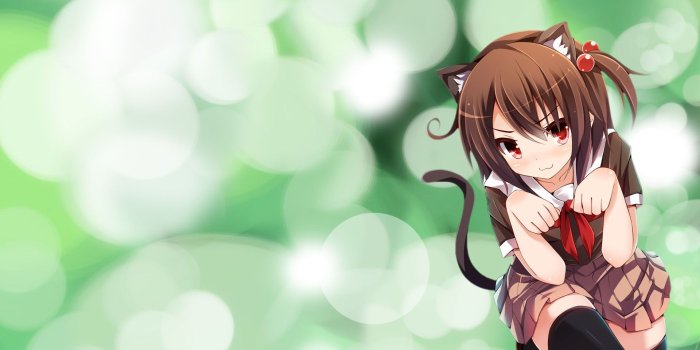 1920x1080 Anime Neko Girl Wallpapers - Top Free Anime Neko Girl Backgrounds