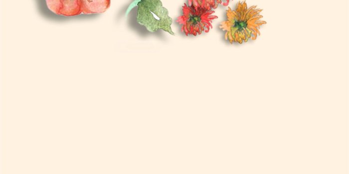 1245x2208 Autumn Pumpkin Wallpaper (47+ images)