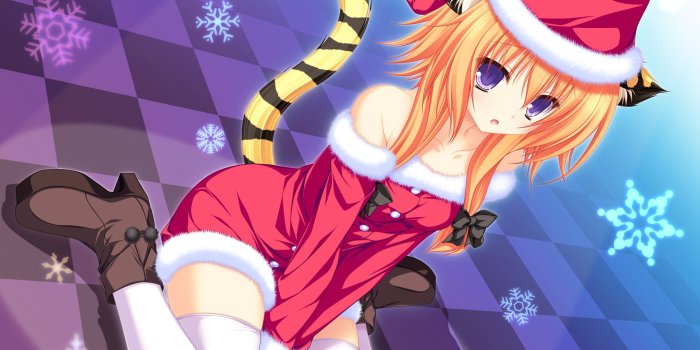 2560x1600 Anime neko wallpaper - SF Wallpaper