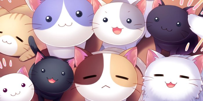 1920x1200 Wallpaper of Cat, Cute, Smile, Stare, Anime background & HD image