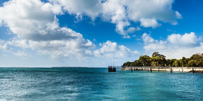 3839x1079 70+ Tropical Dual Monitor Wallpapers - Download at WallpaperBro