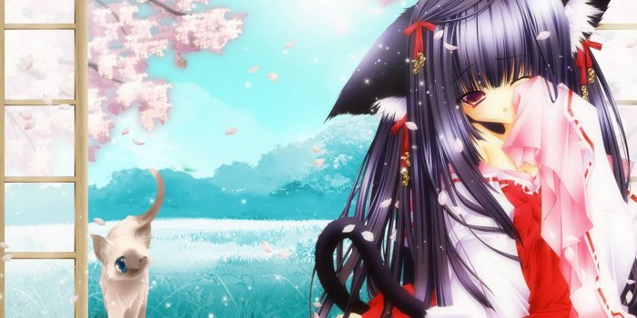 1920x1200 Anime Cat Girl Desktop Wallpaper 21358 - Baltana