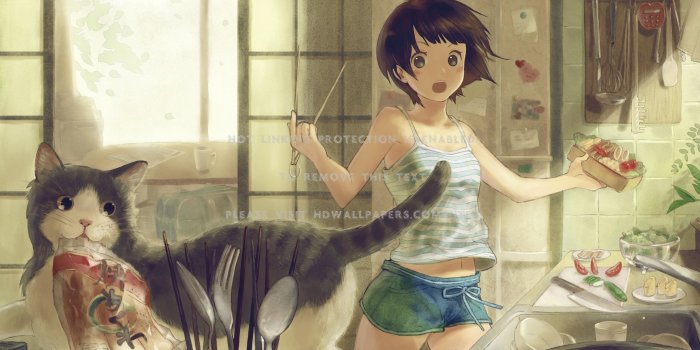 2560x1600 Anime girl cat room